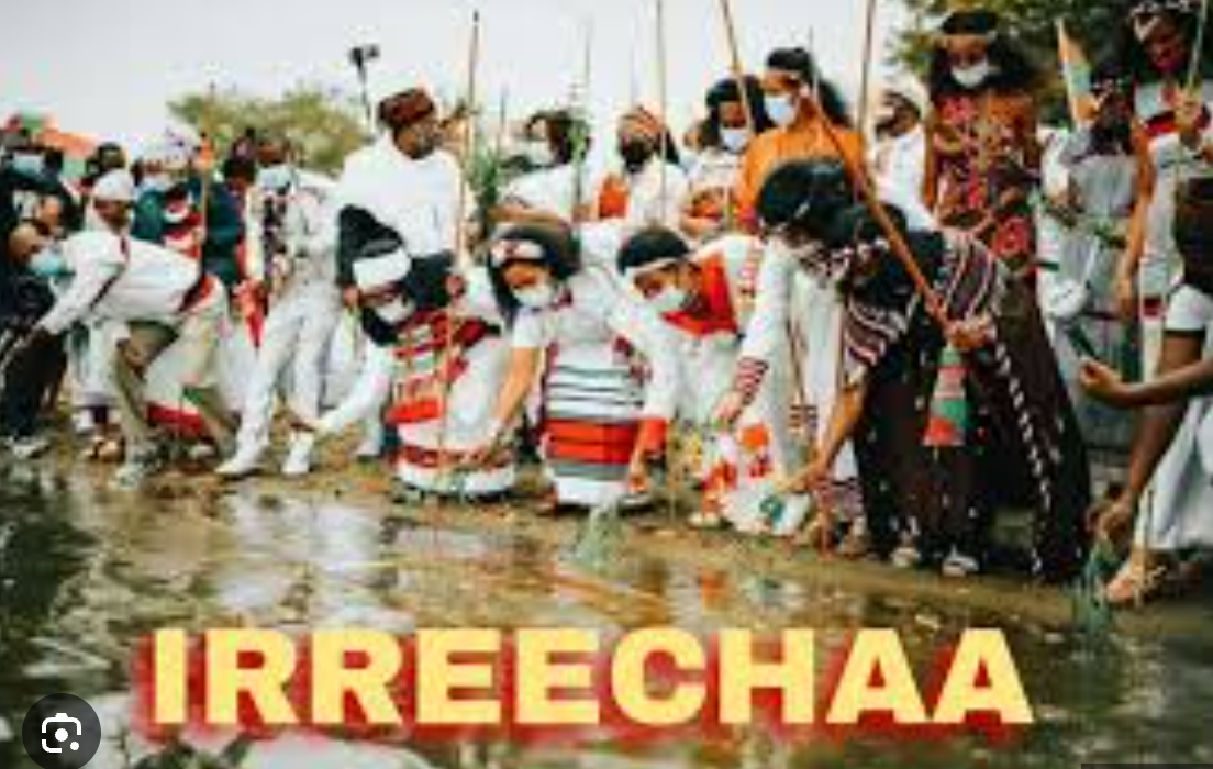 irreechaa oromoo